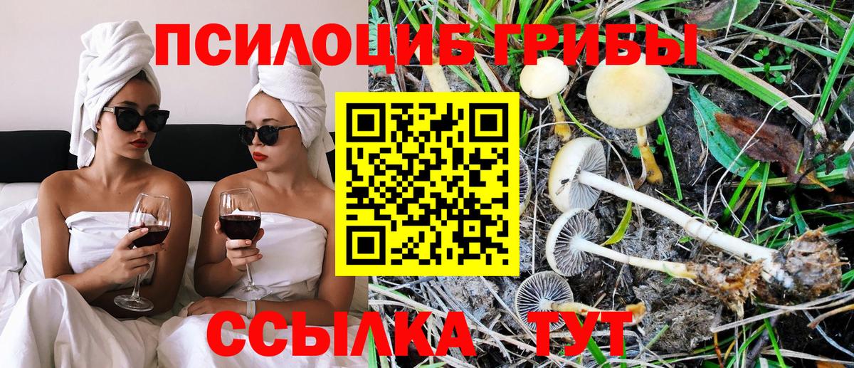 Галлюциногенные грибы GOLDEN TEACHER  Вход с VPN  Назарово 